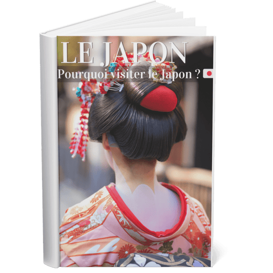 Ebook : Le Japon - AI connective
